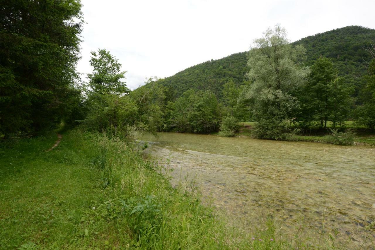 Brane Apartment Bohinj Buitenkant foto
